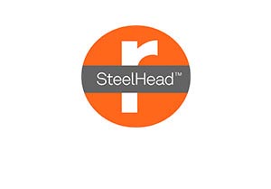 Riverbed SteelHead License