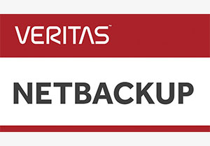 Veritas NetBackUp License
