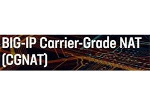BIG-IP CGNAT License