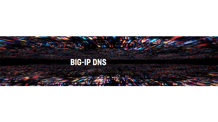 BIG-IP DNS License