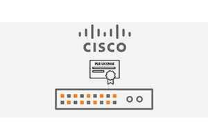 Cisco Catalyst PLR License