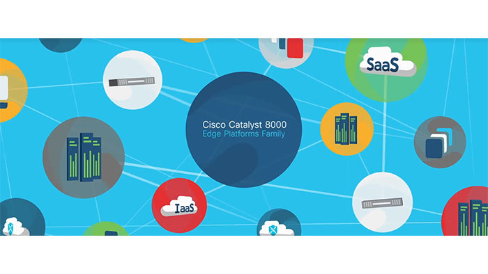 Cisco Catalyst 8000 License