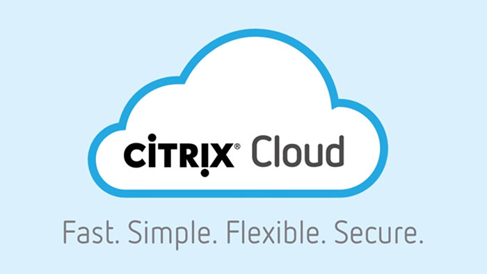 Citrix Workspace License