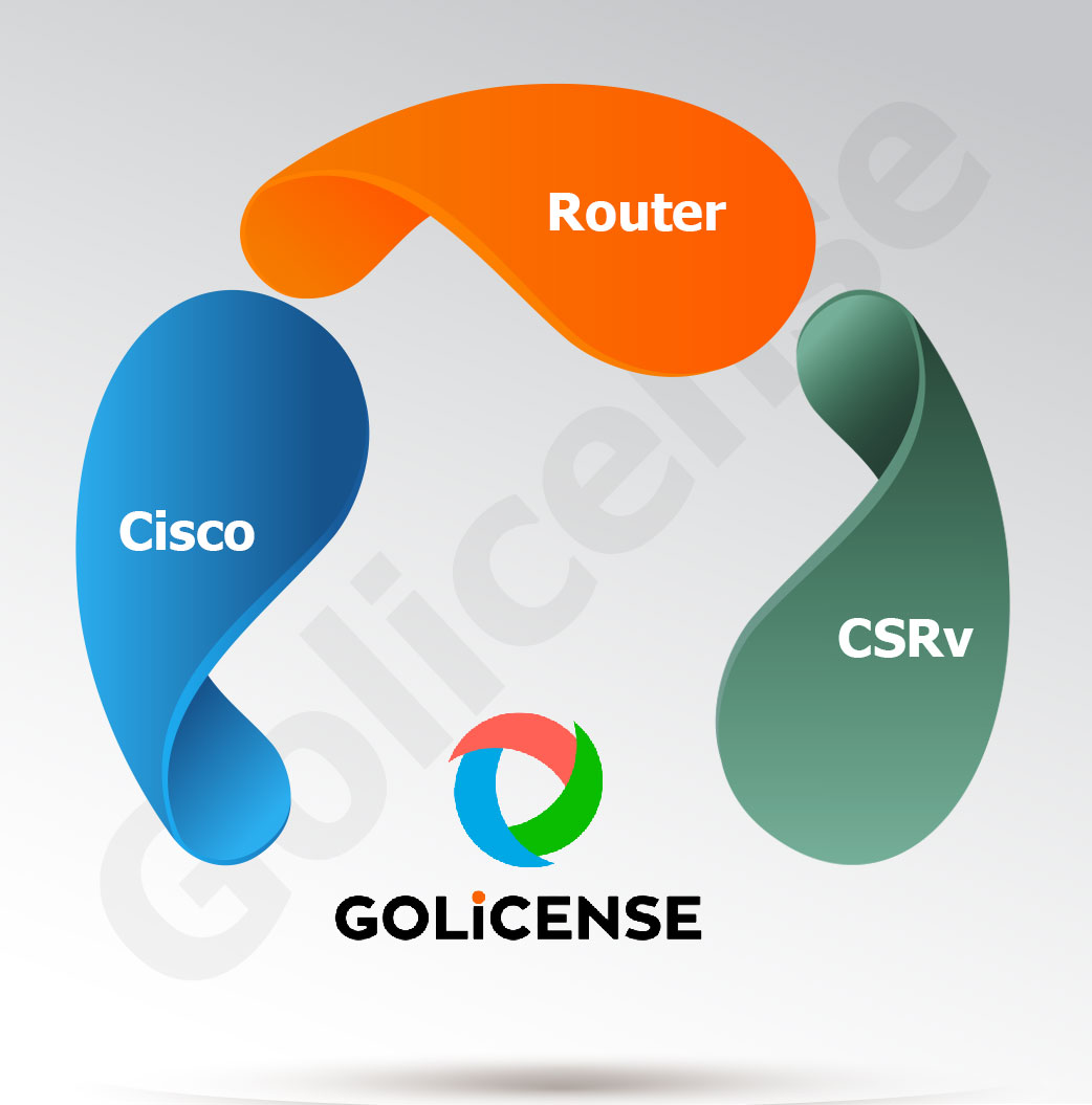 Cisco CSRv License