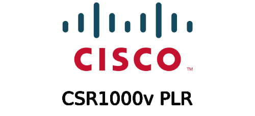 CSR1000v PLR
