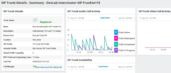 SolarWinds VNQM License