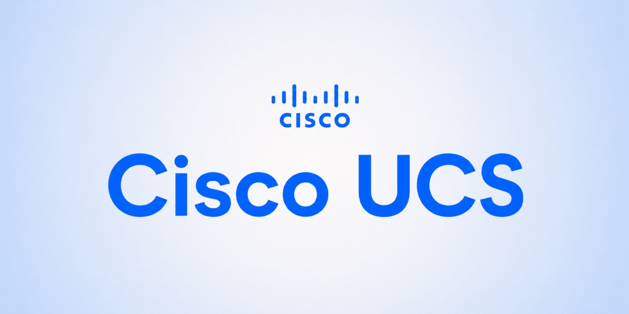 Cisco UCS License