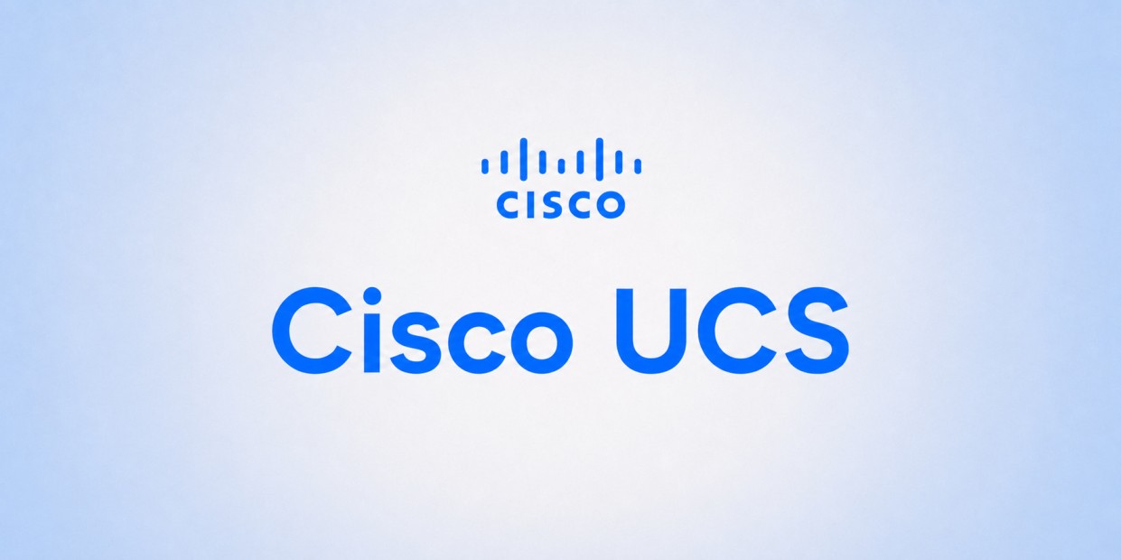 Cisco UCS License