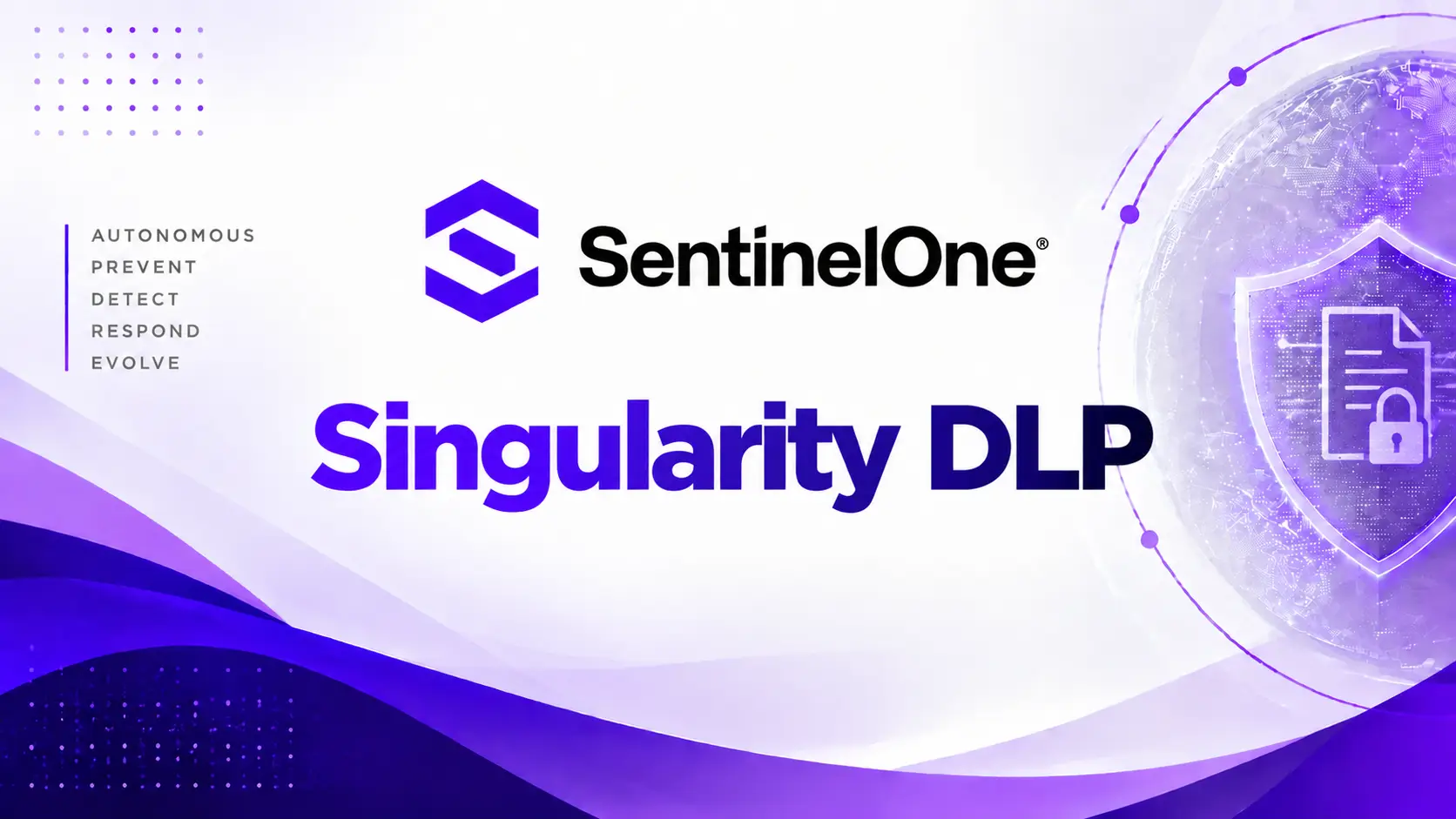 Singularity DLP