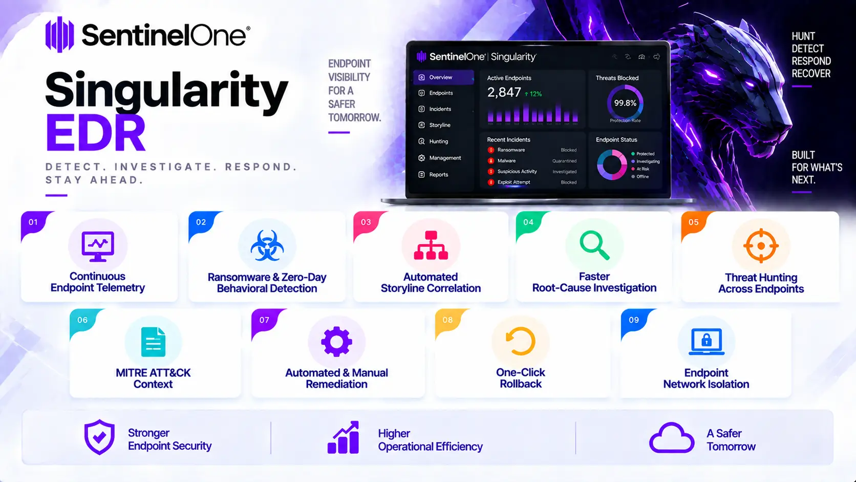 singularity edr benefits